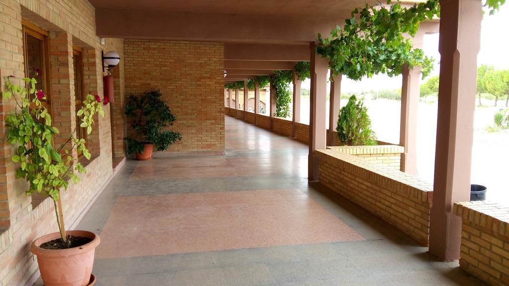 Hotel-Motel Sol II Requena Rom bilde